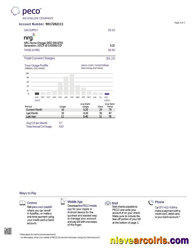 USA Pennsylvania PECO electric and gas utility bill, 3 pages 2